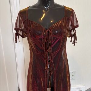 Elegant Sheer Rose Gown